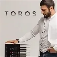 Toros Papoyan & Sabi - Я твой стресс